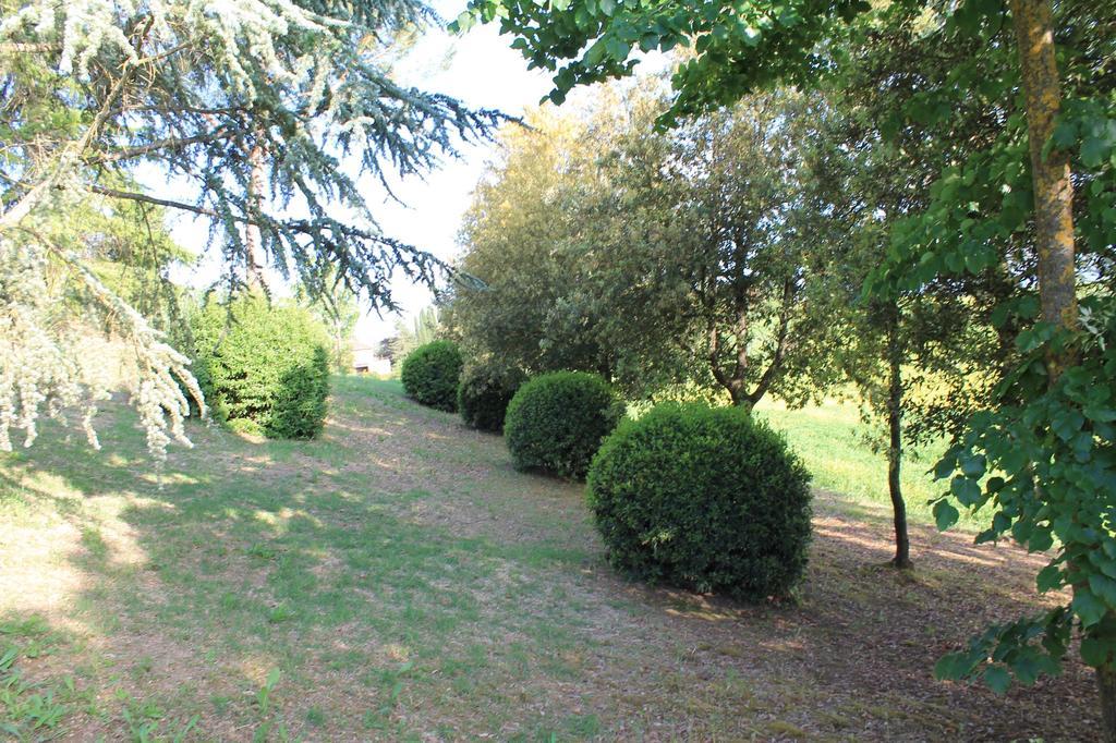 Albergaccio Appartement *