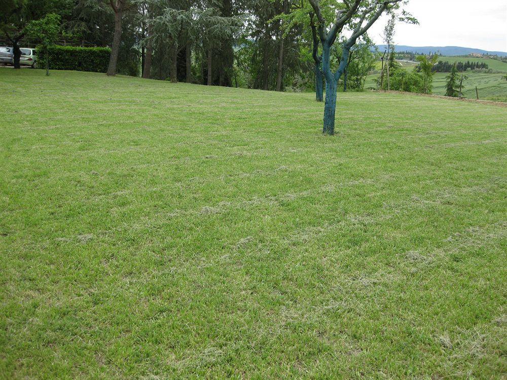 Appartement Albergaccio *