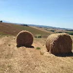 Albergaccio