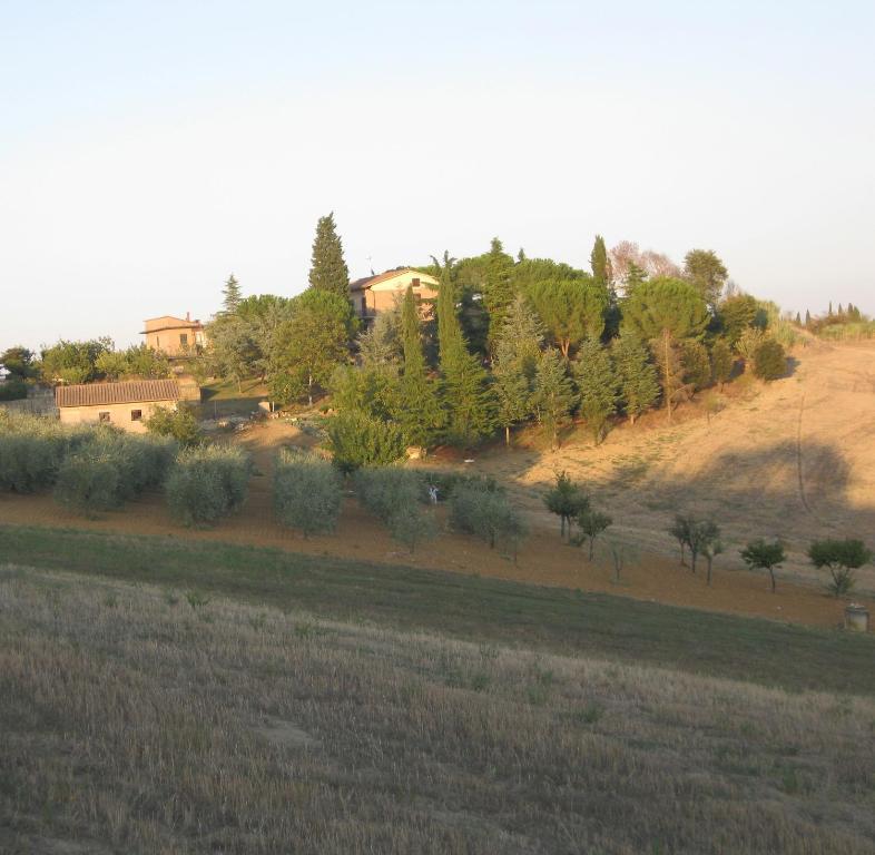 Albergaccio