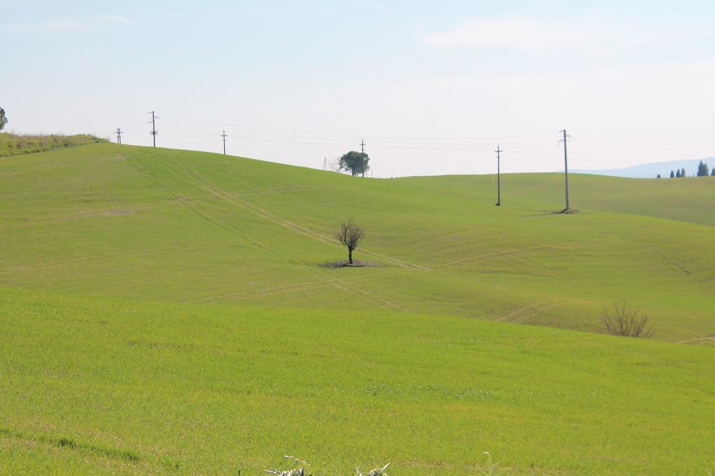 Apartamento Albergaccio *