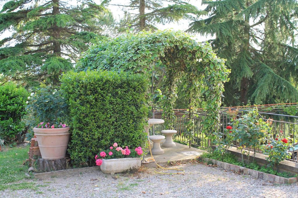 Albergaccio Apartamento *