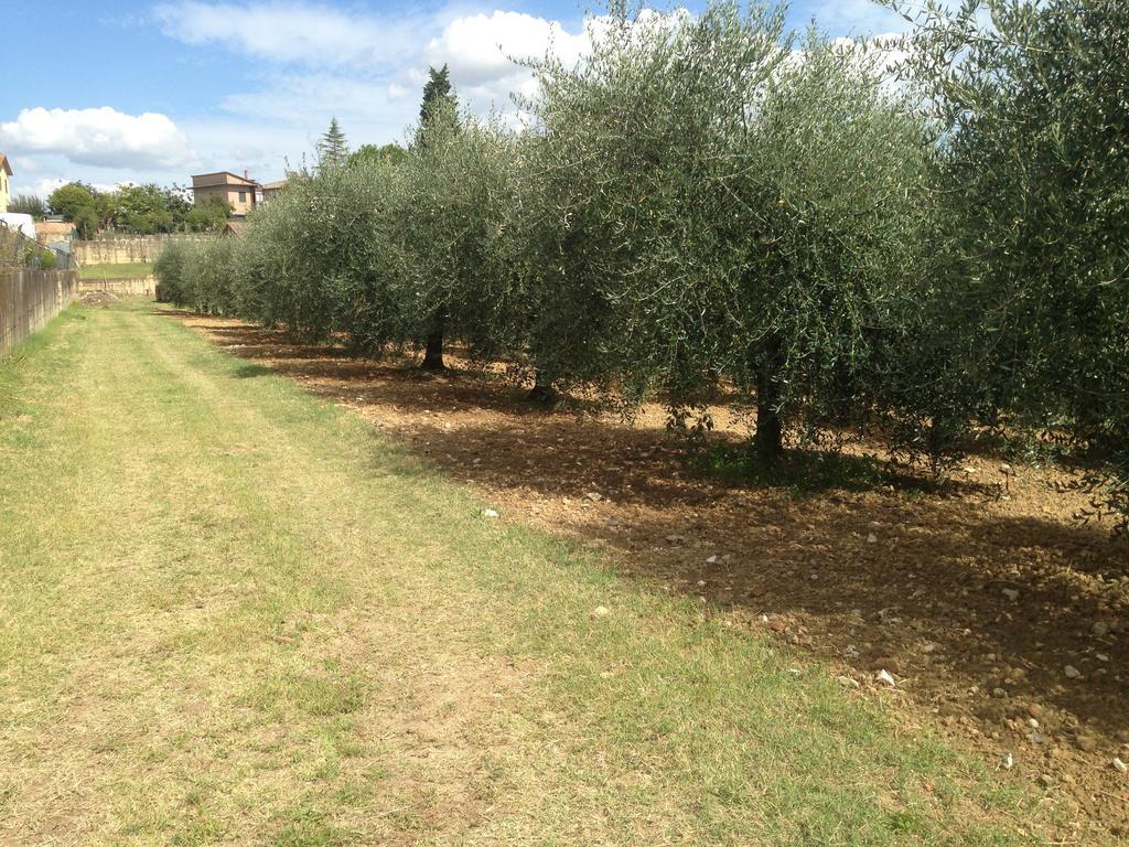 Apartamento Albergaccio *