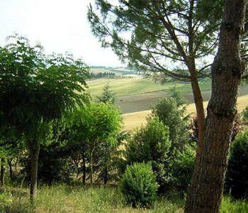 Albergaccio Apartamento Siena