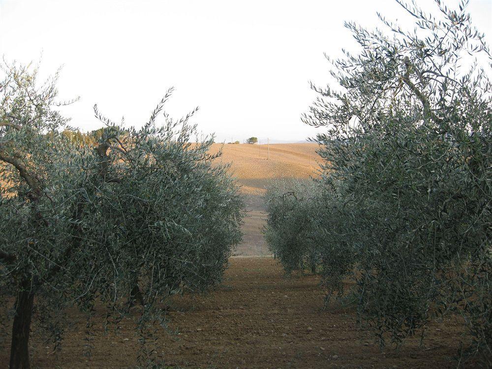 Albergaccio