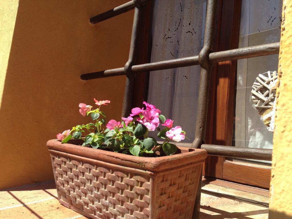 Albergaccio Apartamento